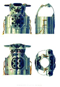 Drevnosti RG v3 ill046 - Zercalo