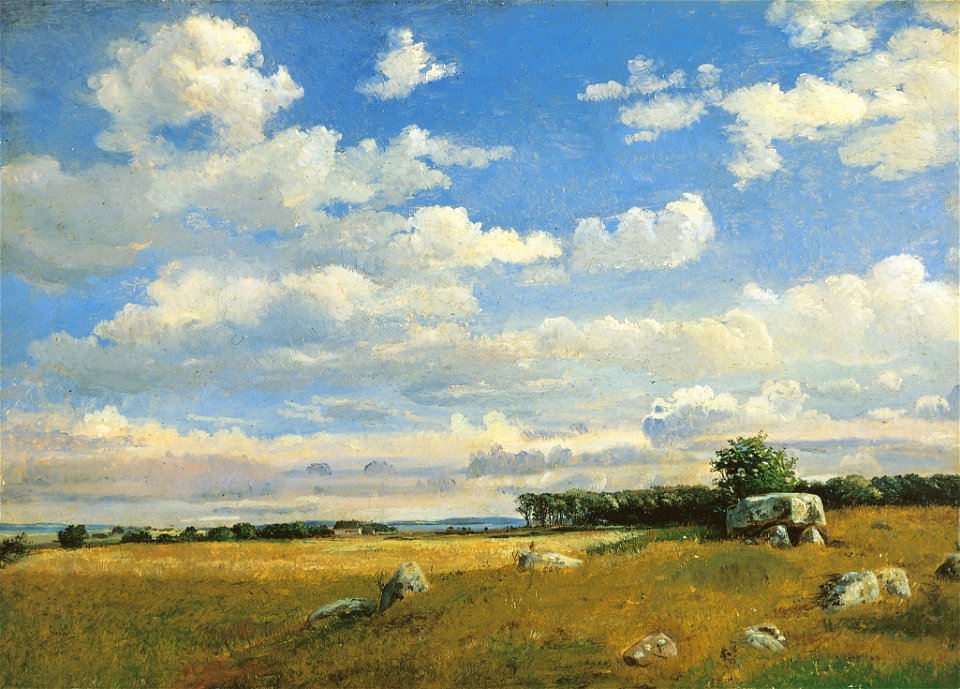 Kæmpehøj på Brandsø (Dankvart Dreyer)