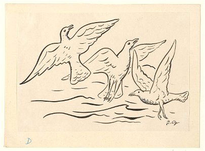 Drie vogels in de lucht