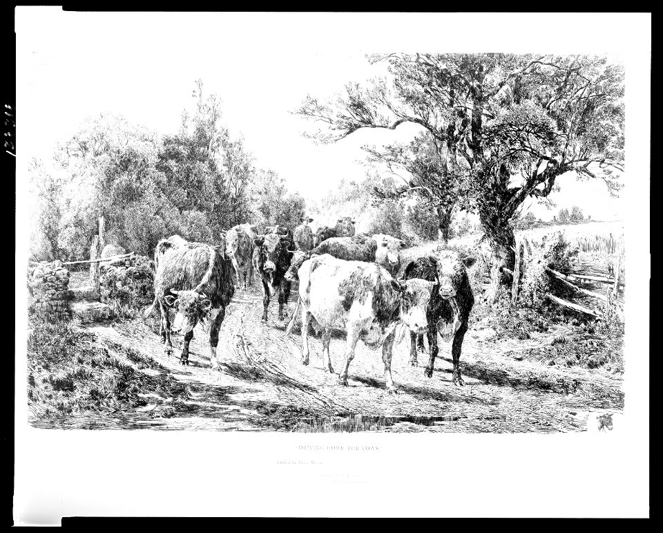 Driving home the cows LCCN2003672261
