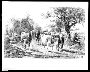 Driving home the cows LCCN2003672261