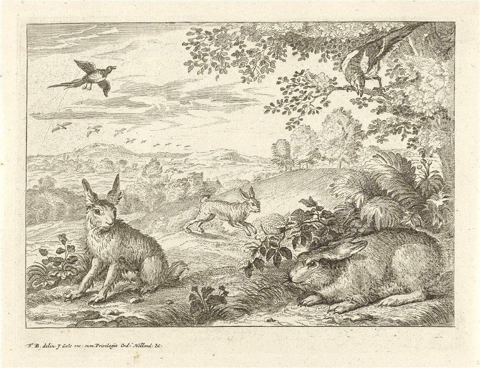 Drie hazen en twee eksters in een landschap