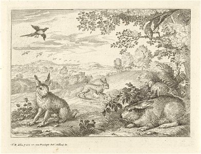 Drie hazen en twee eksters in een landschap