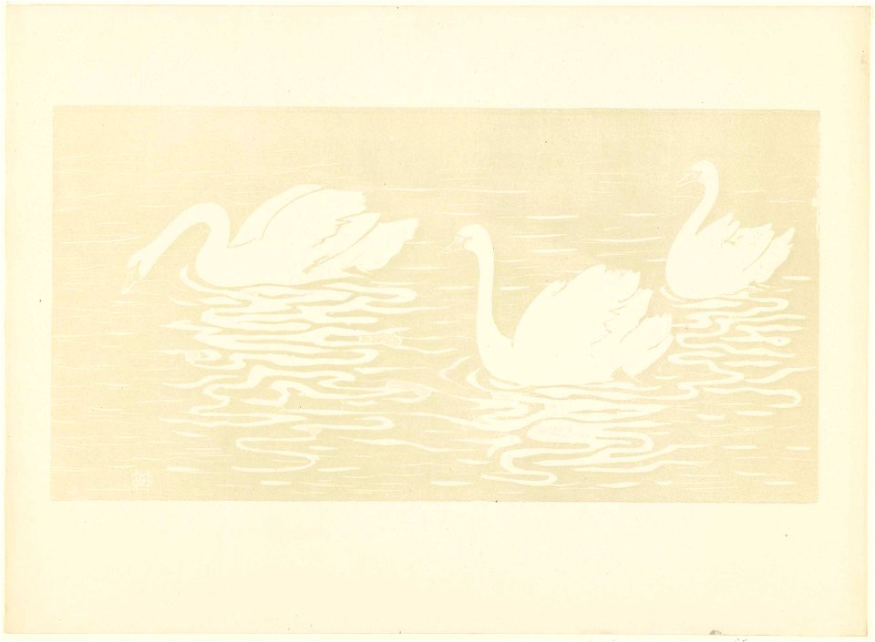 Drie zwanen zwemmen in water