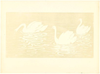Drie zwanen zwemmen in water