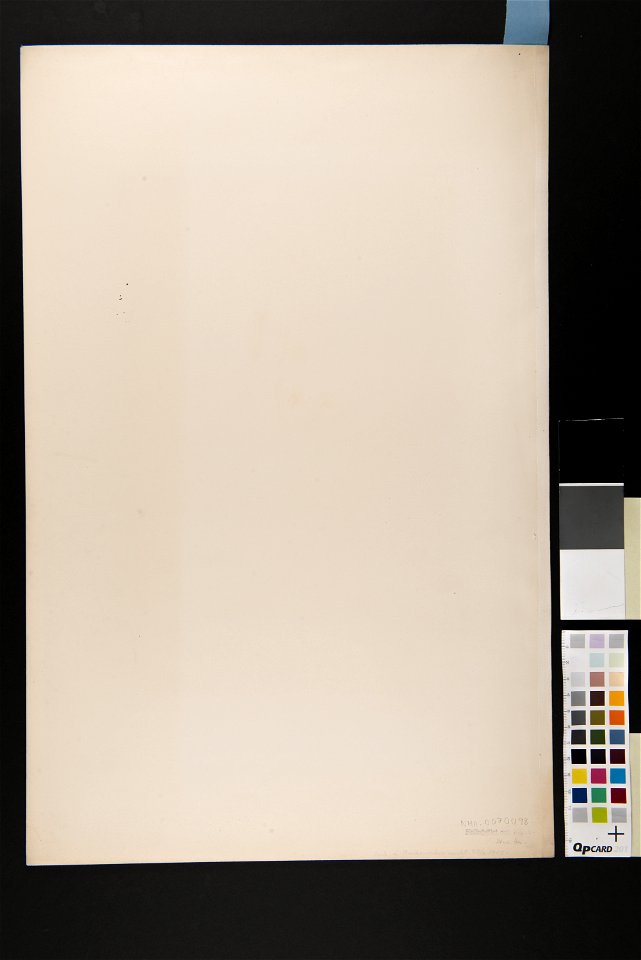 Dräkt. Akvarell i storformat av O. Wallgren - Nordiska museet - NMA.0070098 (3)