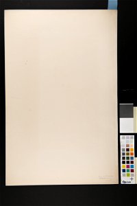 Dräkt. Akvarell i storformat av O. Wallgren - Nordiska museet - NMA.0070098 (3)