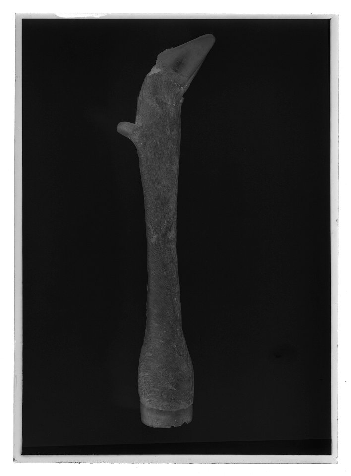Dryckesbägare - Livrustkammaren - 44027-negative