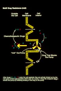 Drug resistance pump illustration
