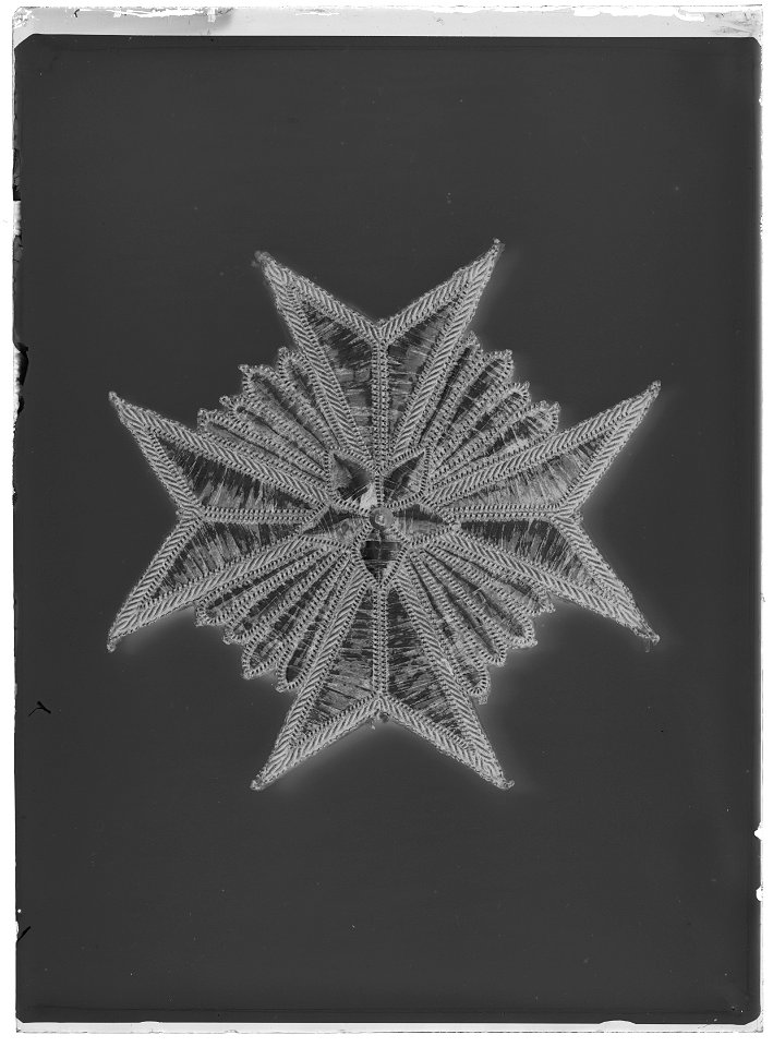 Dräktkraschan för kommendör med stora korset av Nordstjärneorden Sverige, 1800-talets mitt - Livrustkammaren - 9373-negative