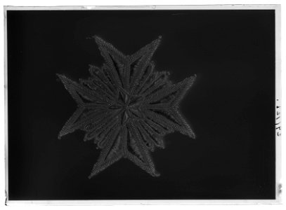 Dräktkraschan för kommendör med stora korset av Nordstjärneorden, Sverige, 1800-talets början - Livrustkammaren - 51911-negative