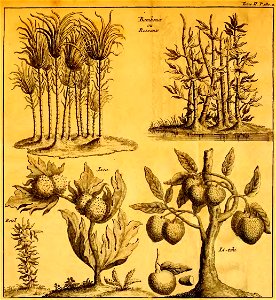 Du Halde - Description de la Chine - Vol 2 feuille 227