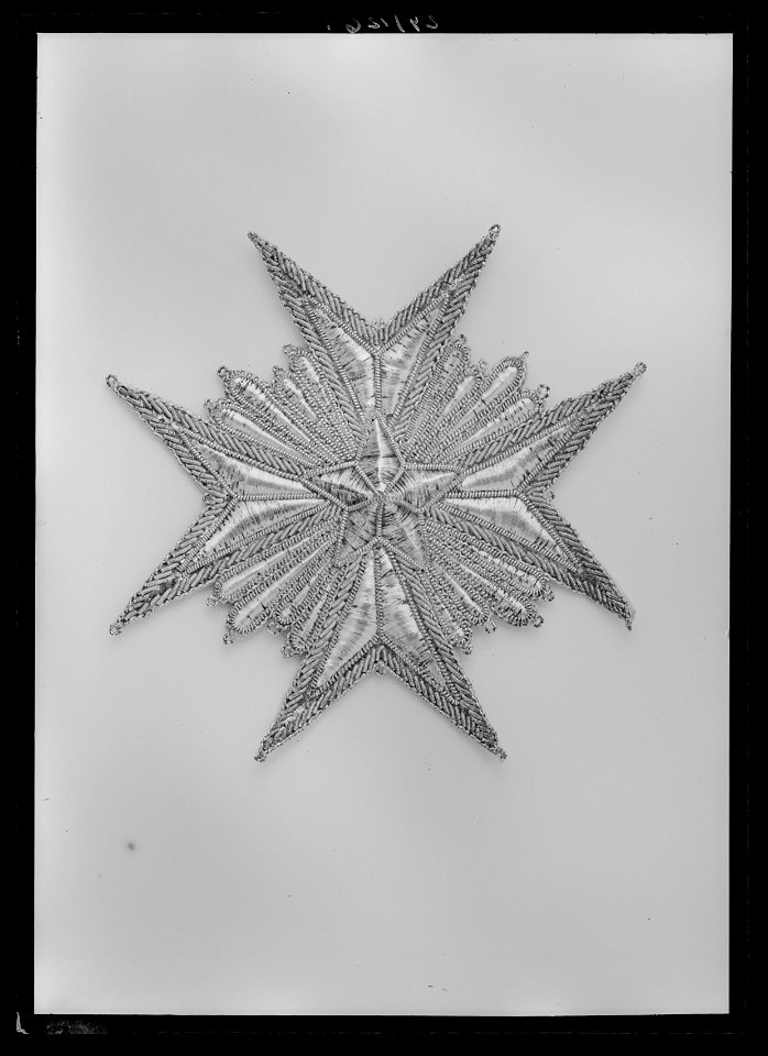 Dräktkraschan för kommendör med stora korset av Nordstjärneorden, Sverige, 1800-talets början - Livrustkammaren - 9136