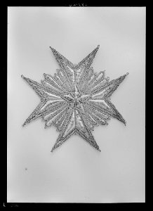 Dräktkraschan för kommendör med stora korset av Nordstjärneorden, Sverige, 1800-talets början - Livrustkammaren - 9136