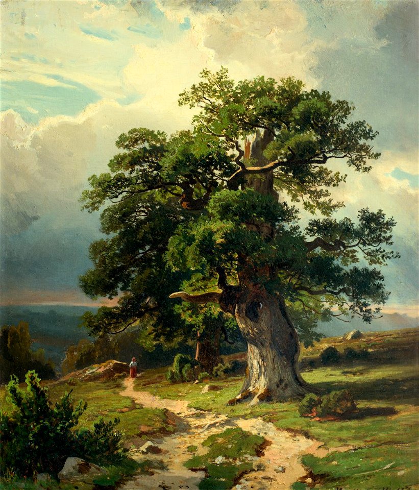 Dub Shishkin