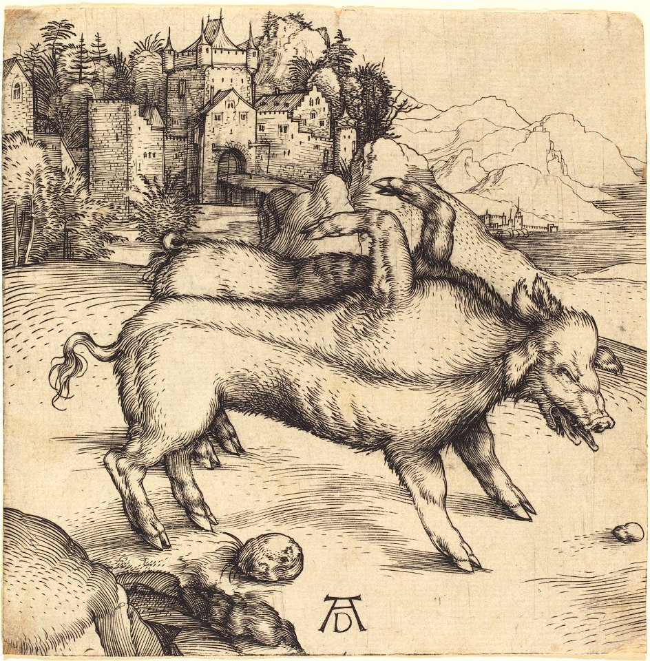 Albrecht Dürer - The Monstrous Pig of Landser (NGA 1943.3.3457)