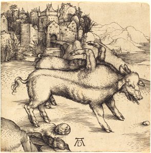 Albrecht Dürer - The Monstrous Pig of Landser (NGA 1943.3.3457)