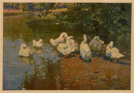 Ducks by a pond LCCN2003688770