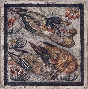 Ducks Pompeii MAN Napoli Inv9983