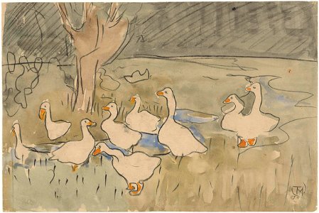 Ducks