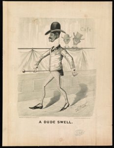 Dude swell LCCN91796273