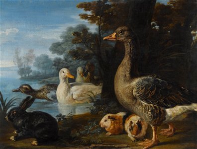 Ducks, Guinea Pigs and a Rabbit in a Wooded Landscape Beside a Lake by David de Coninck. Free illustration for personal and commercial use.