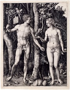 Albrecht Dürer, Adam and Eve, 1504, Engraving. Free illustration for personal and commercial use.