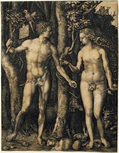 1504, Dürer, Adam and Eve (Princeton University Art Museum)