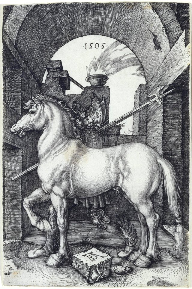 Albrecht Dürer - The Small Horse - Google Art Project
