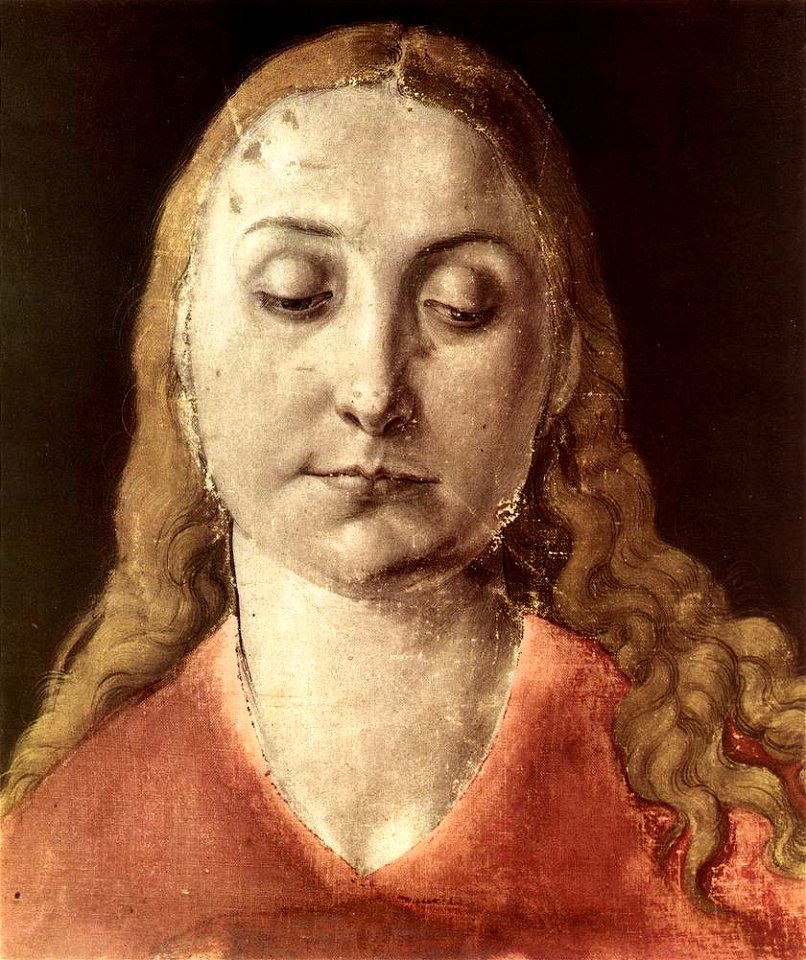 Albrecht Dürer - Head of a Woman - WGA7014