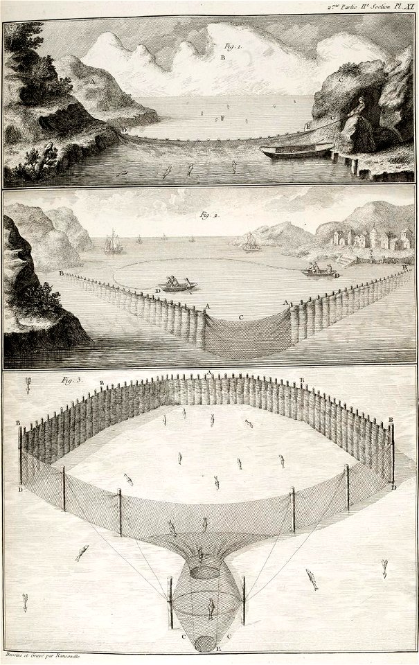 Duhamel- N. Ransonnette - Pêcheries