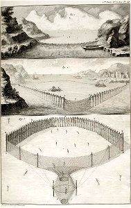 Duhamel- N. Ransonnette - Pêcheries