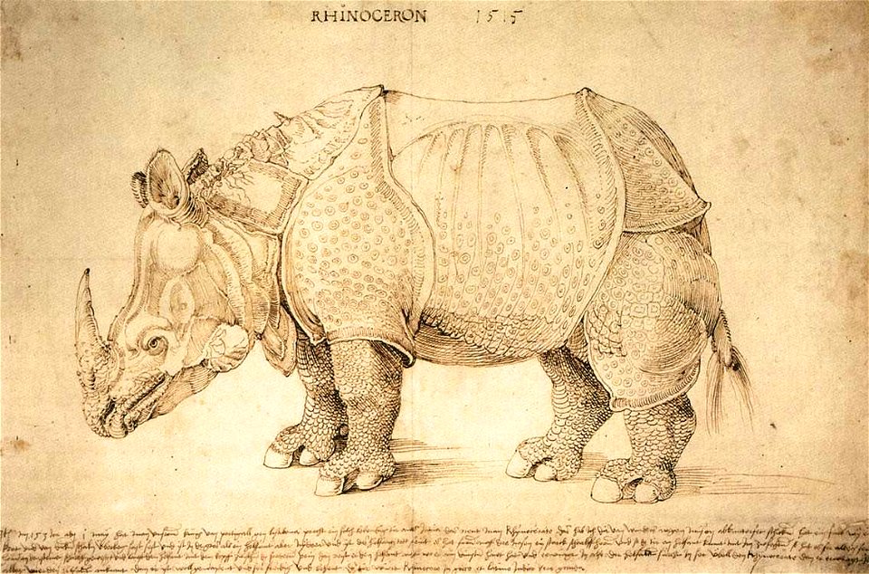Albrecht Dürer - Rhinoceros - WGA07078