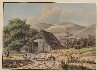 Duingezicht met schapenkooi, objectnr 1619