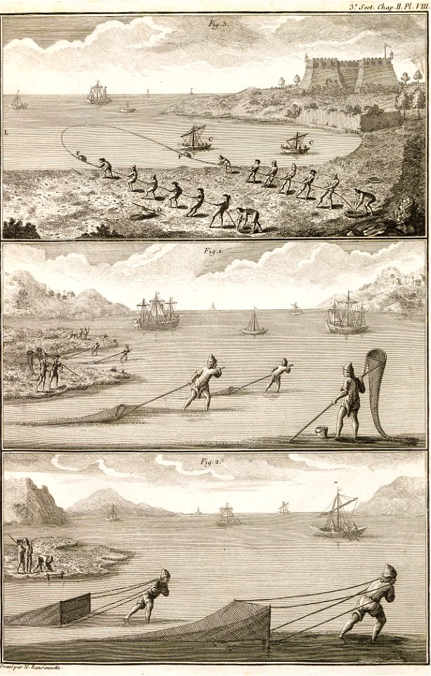 Duhamel - N. Ransonnette - Pêche côtière