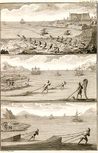 Duhamel - N. Ransonnette - Pêche côtière