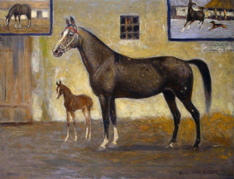 DUMKA 1916