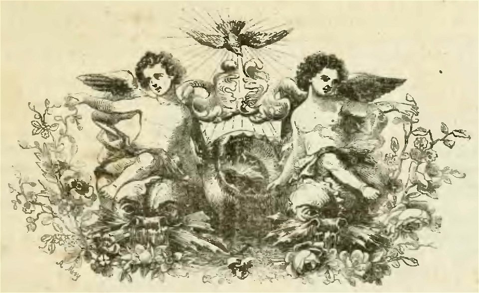 Dumas - Le Chevalier de Maison-Rouge, 1853 (page 231 crop)