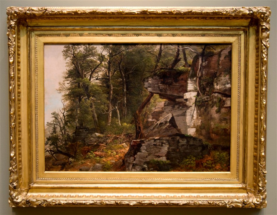 Asher Brown Durand - Trees on a Rocky Hillside - 1968.21 - Cleveland Museum of Art