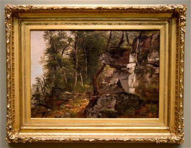 Asher Brown Durand - Trees on a Rocky Hillside - 1968.21 - Cleveland Museum of Art