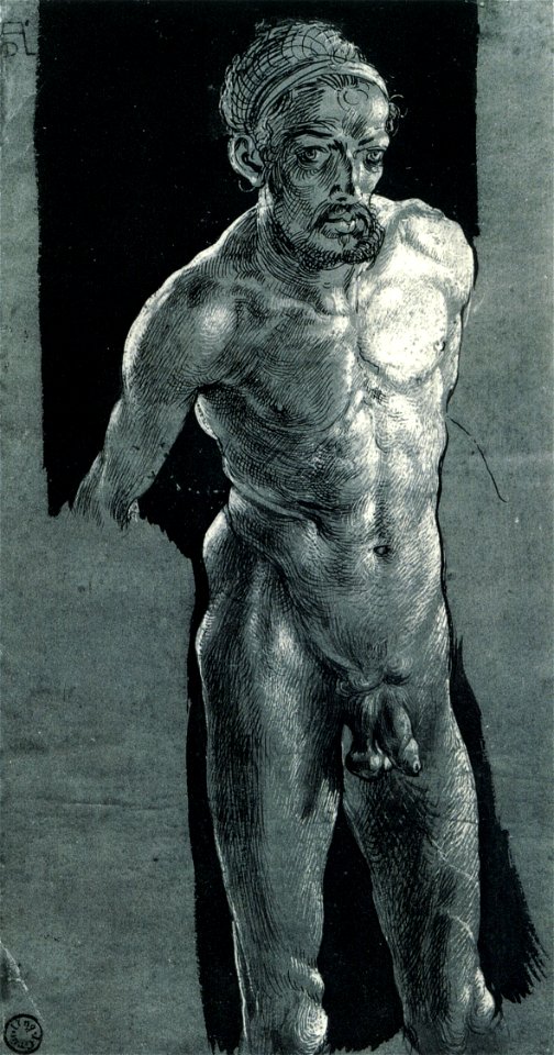 Nude self-portrait by Albrecht Dürer