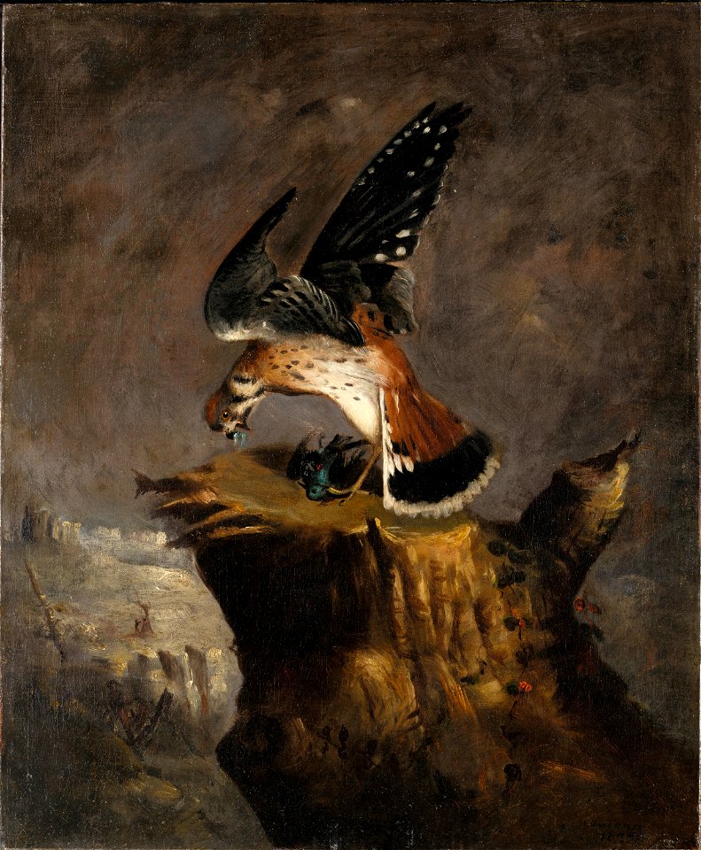RobertDuncanson-Vulture n Prey 1844
