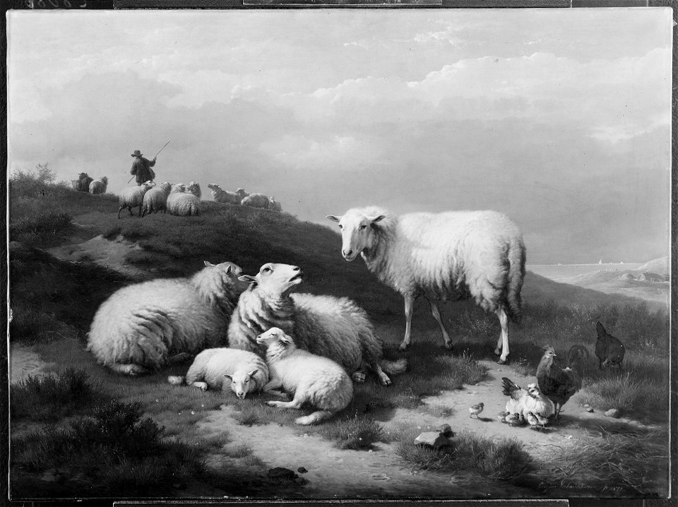 Dune Landscape with Resting Sheep (Eugène Verboeckhoven) - Nationalmuseum - 18493