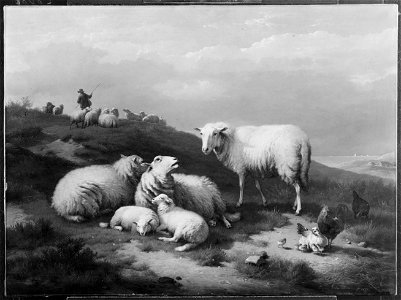 Dune Landscape with Resting Sheep (Eugène Verboeckhoven) - Nationalmuseum - 18493. Free illustration for personal and commercial use.