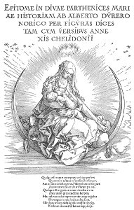 Durer, vita della vergine 00 fontespizio