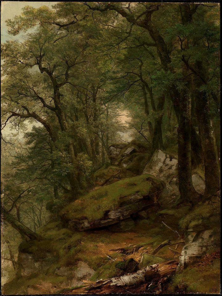 Asher Brown Durand - Woodland Interior - 63.269 - Museum of Fine Arts