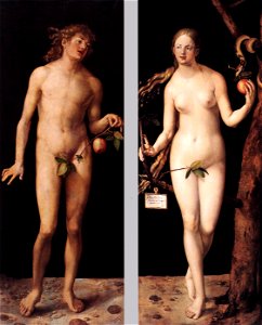 Durer, adamo ed eva 03
