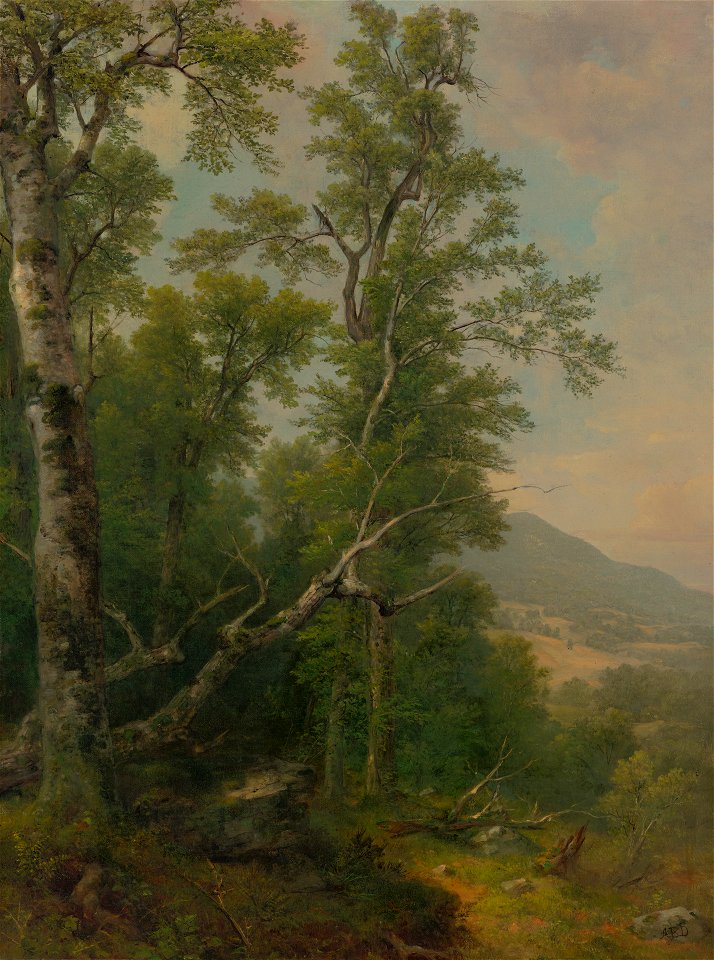 Asher Brown Durand - Study of Trees - 2016.106.1 - Yale University Art Gallery