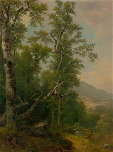 Asher Brown Durand - Study of Trees - 2016.106.1 - Yale University Art Gallery. Free illustration for personal and commercial use.