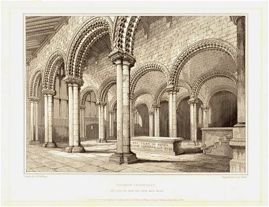 Durham Gallilee Engraving 1844